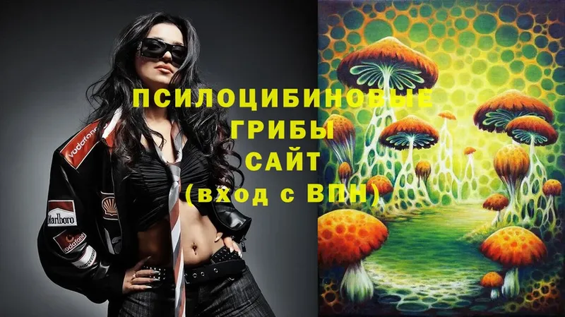 купить закладку  Тарко-Сале  Псилоцибиновые грибы Psilocybine cubensis 